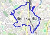 Move_2020_01_23_10_32_41_Chodzenie - mapa trasy gps - marsz