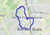 Move_2020_01_25_12_32_41_Chodzenie - mapa trasy gps - marsz