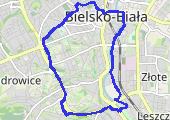 Move_2020_01_31_12_29_39_Chodzenie - mapa trasy gps - marsz
