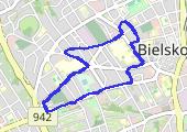 Move_2020_02_01_16_10_22_Chodzenie - mapa trasy gps - marsz