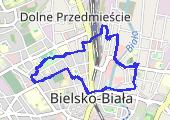 Move_2020_02_04_14_03_28_Chodzenie - mapa trasy gps - marsz