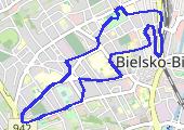 Move_2020_02_04_19_50_27_Chodzenie - mapa trasy gps - marsz