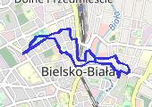 Move_2020_02_06_09_47_28_Chodzenie - mapa trasy gps - marsz