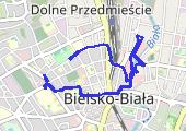 Move_2020_02_06_11_27_28_Chodzenie - mapa trasy gps - marsz
