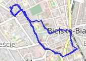 Move_2020_02_06_14_13_01_Chodzenie - mapa trasy gps - marsz