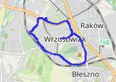 Trasa z dnia 2020-02-17 19:33 - mapa trasy gps - marsz