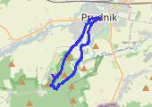A. - mapa trasy gps - marsz