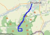 Dębowiec - mapa trasy gps - marsz