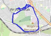 Trasa z dnia 2020-03-09 20:48 - mapa trasy gps - marsz