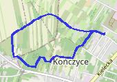 Trasa z dnia 2020-03-20 16:44 - mapa trasy gps - marsz