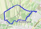Trasa z dnia 2020-03-22 13:10 - mapa trasy gps - marsz