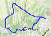 Trasa z dnia 2020-04-05 12:55 - mapa trasy gps - marsz
