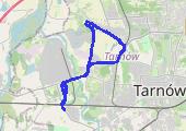 Trasa z dnia 2020-04-08 13:59 - mapa trasy gps - rower szosowy