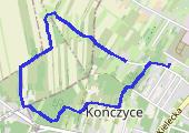 Trasa z dnia 2020-04-11 12:34 - mapa trasy gps - marsz