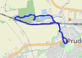 Las Niemyslowicki - mapa trasy gps - marsz