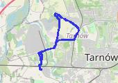 Trasa z dnia 2020-04-17 15:20 - mapa trasy gps - rower szosowy