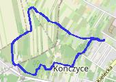 Trasa z dnia 2020-04-19 12:57 - mapa trasy gps - marsz