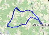 Trasa z dnia 2020-04-24 11:48 - mapa trasy gps - rower górski