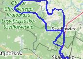 Trasa z dnia 2020-04-26 13:51 - mapa trasy gps - rower szosowy