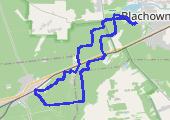Spacer - mapa trasy gps - spacer