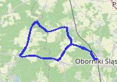 Trasa z dnia 2020-05-01 16:31 - mapa trasy gps - rower górski