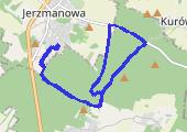 Trasa z dnia 2020-05-01 11:00 - mapa trasy gps - bieganie