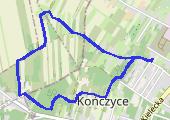 Trasa z dnia 2020-05-03 13:12 - mapa trasy gps - marsz