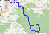 Trasa z dnia 2020-05-22 11:58 - mapa trasy gps - marsz