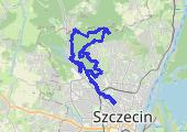 Trasa z dnia 2020-05-31 12:45 - mapa trasy gps - bieganie