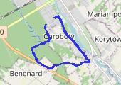 2020-06-21T16:51:28.000Z - mapa trasy gps - marsz