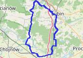 Trasa z dnia 2017-06-21 18:38 - mapa trasy gps - rower górski