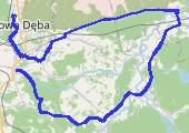 Trasa z dnia 2020-06-28 20:52 - mapa trasy gps - marsz