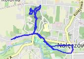 Trasa z dnia 2020-02-01 12:46 - mapa trasy gps - spacer