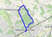 Trasa z dnia 2020-07-21 19:00 - mapa trasy gps - nordic walking