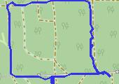 Trasa z dnia 2020-07-29 11:38 - mapa trasy gps - marsz