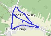 Trasa z dnia 2020-08-09 08:10 - mapa trasy gps - nordic walking