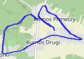 Trasa z dnia 2020-08-11 07:29 - mapa trasy gps - nordic walking