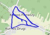Trasa z dnia 2020-08-13 07:30 - mapa trasy gps - nordic walking