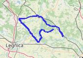 Trasa z dnia 2020-08-17 20:00 - mapa trasy gps - samochód
