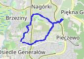 Trasa z dnia 2020-08-13 19:17 - mapa trasy gps - marsz