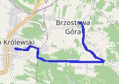 Trasa z dnia 2020-08-24 22:03 - mapa trasy gps - bieganie