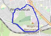 Trasa z dnia 2020-09-29 20:11 - mapa trasy gps - marsz