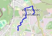 Trasa z dnia 2020-06-08 19:13 - mapa trasy gps - marsz