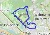 Trasa z dnia 2020-06-16 22:54 - mapa trasy gps - marsz