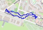 Trasa z dnia 2020-07-24 20:29 - mapa trasy gps - marsz