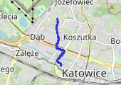Trasa z dnia 2020-10-13 08:21 - mapa trasy gps - marsz