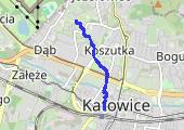 Trasa z dnia 2020-10-13 17:35 - mapa trasy gps - marsz