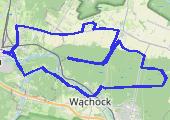 Trasa z dnia 2020-10-21 14:36 - mapa trasy gps - rower szosowy