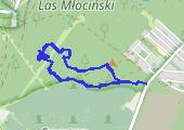 Trasa z dnia 2020-10-10 17:23 - mapa trasy gps - spacer