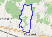 Trasa z dnia 2020-11-06 16:18 - mapa trasy gps - marsz
